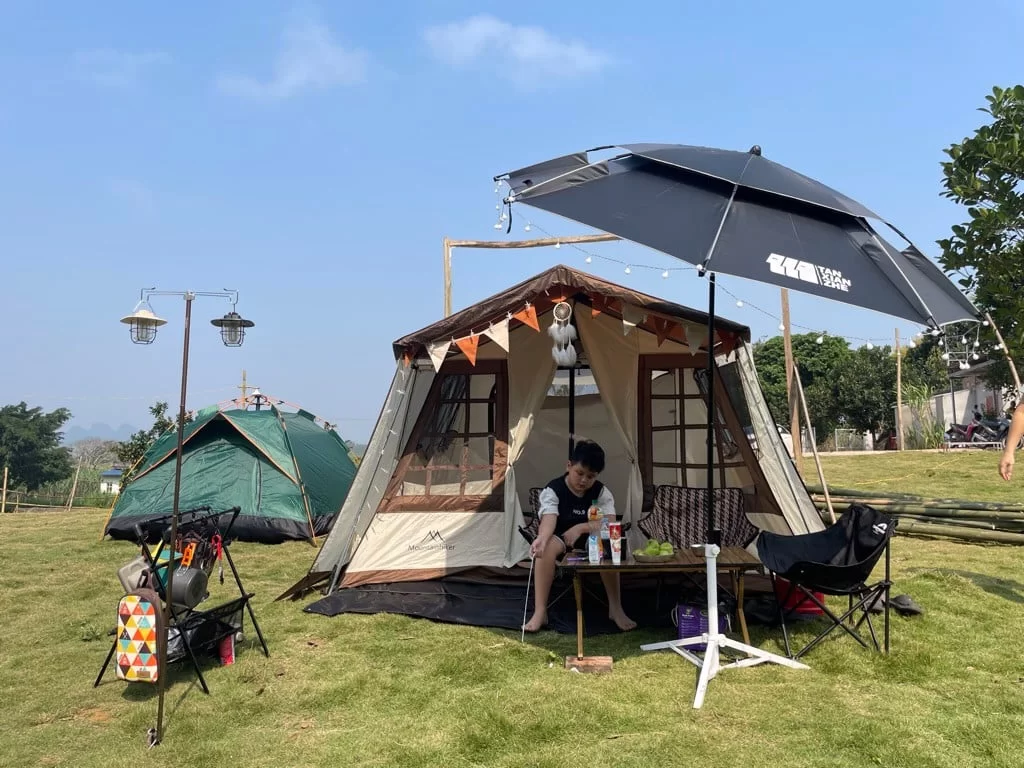 Dyers Online -Dyers Online 5 1